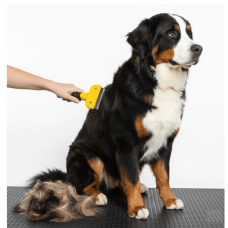 Kedi & Köpekler İçin Tüy Alıcı 7 cm