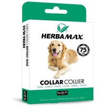 Pire Dış Parazit Kene Tasması - 75 Cm